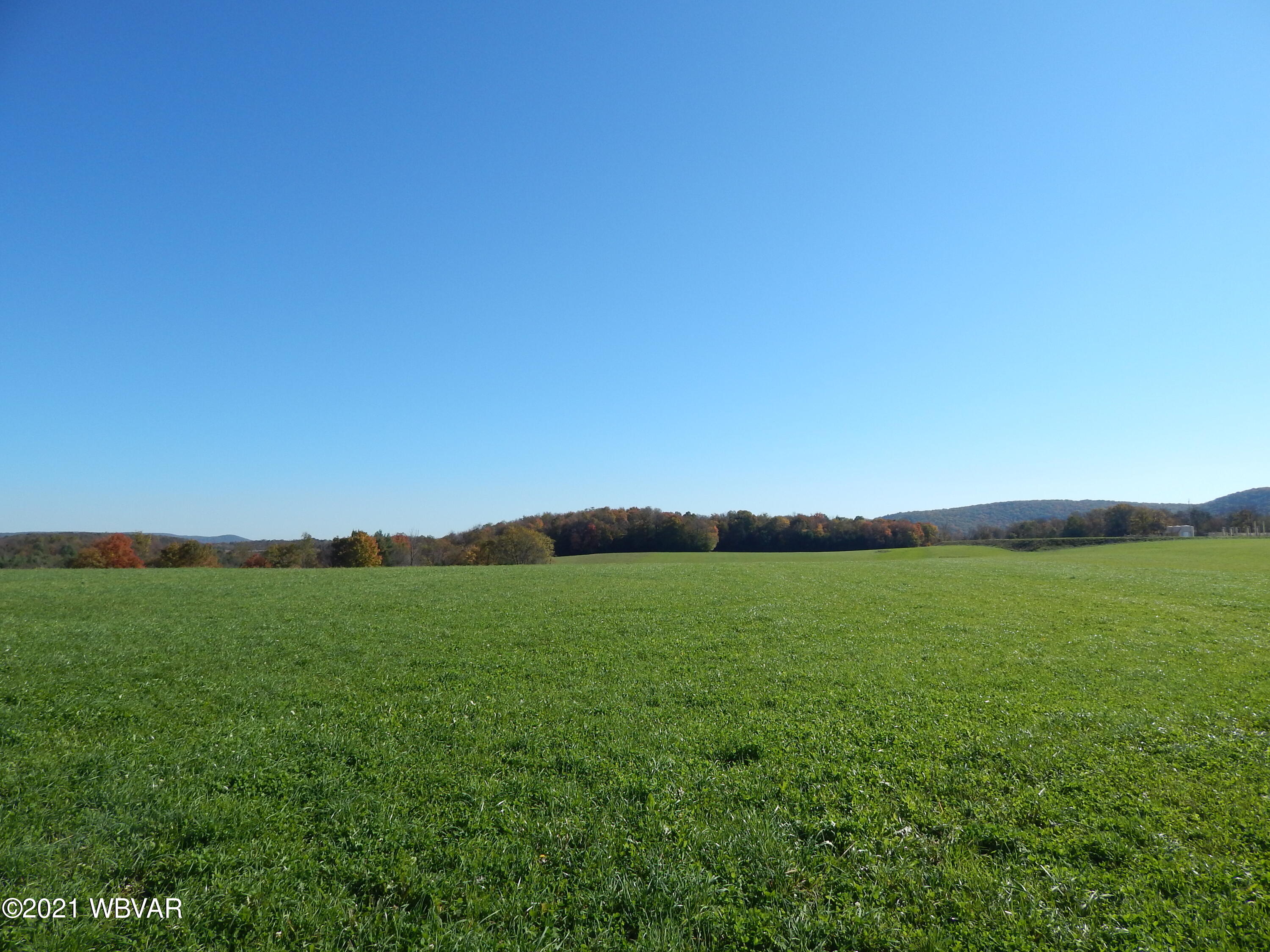 0 Cogan House Road, Unit LOT 1 Trout Run, PA 17771 - Photo 2 of 7 Gallery Image 2