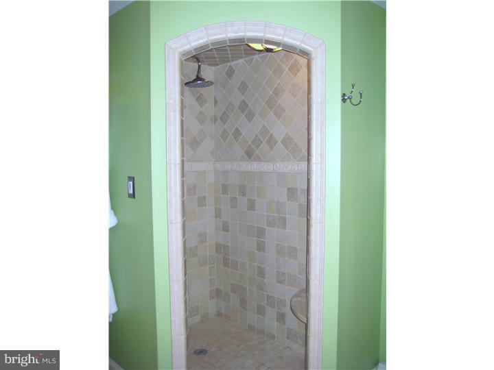 1247 Dill Road Havertown, PA 19083 - Photo 4 of 20 Master Bathroom
