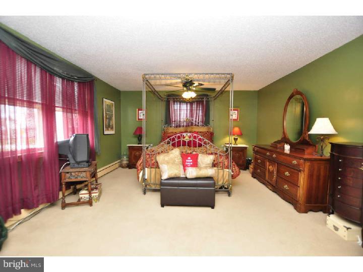 1247 Dill Road Havertown, PA 19083 - Photo 10 of 20 Master Bedroom