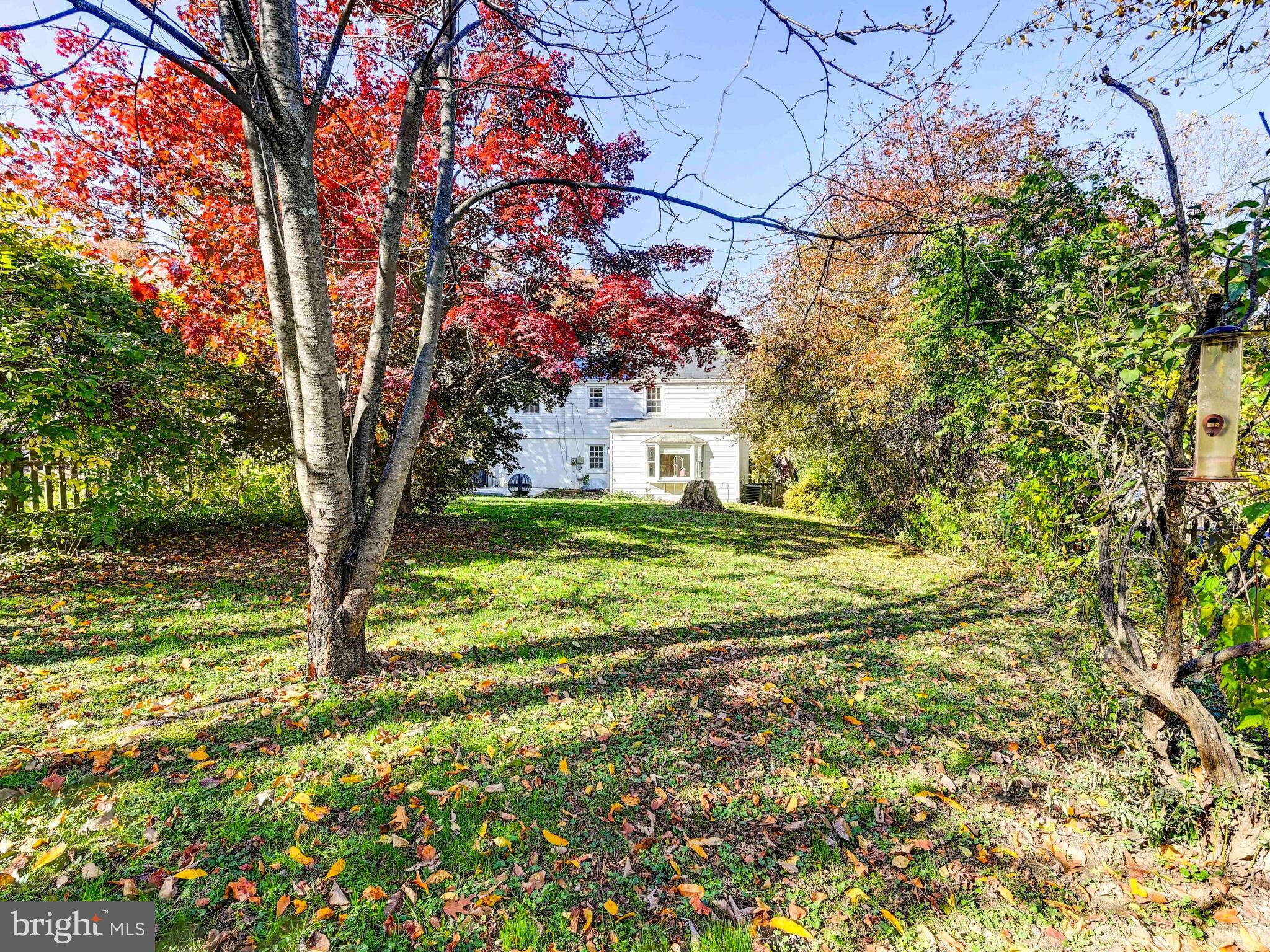 913 Adana Road Baltimore, MD 21208 - Photo 19 of 26 a view of a yard with plants and large trees