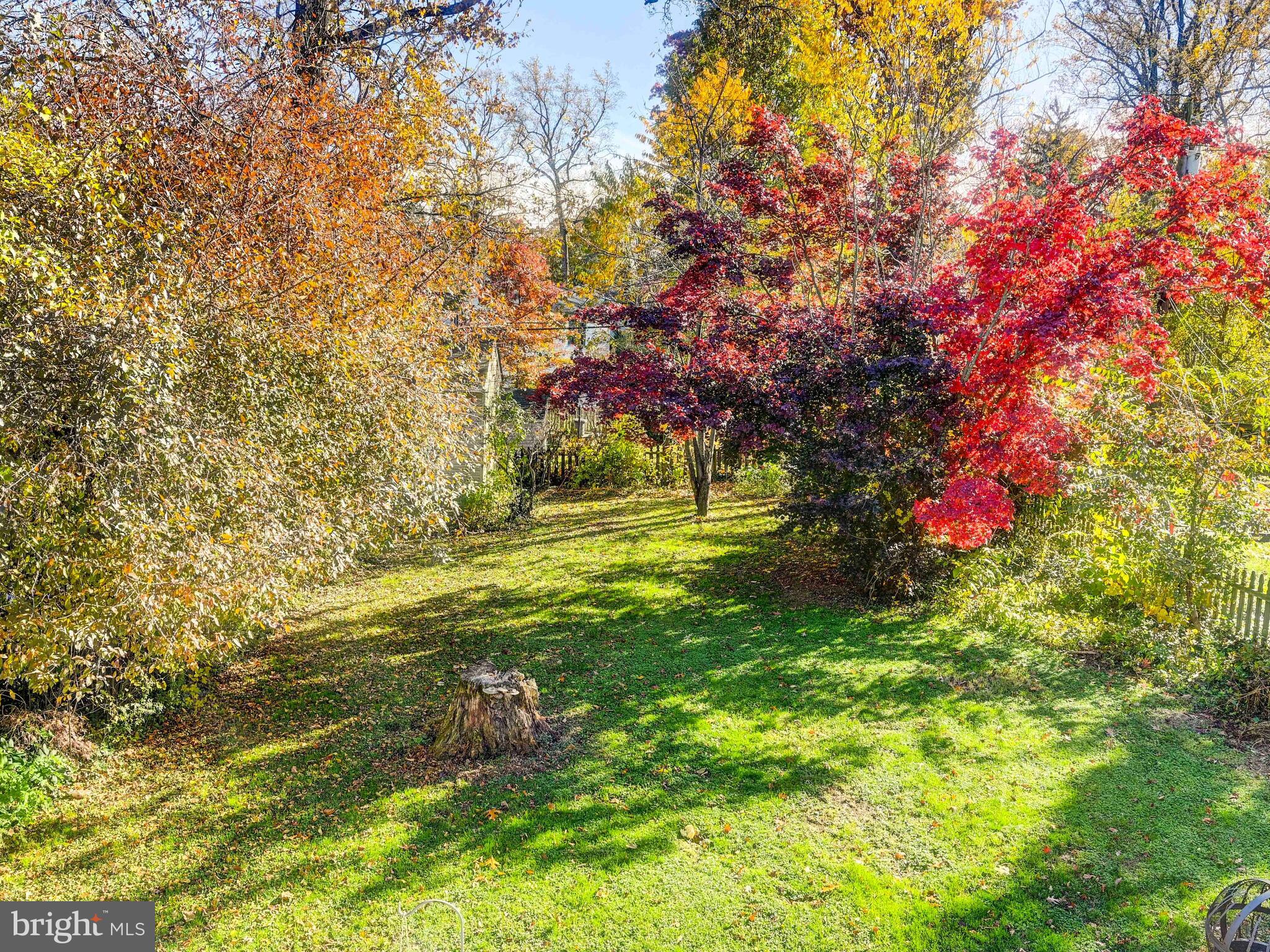 913 Adana Road Baltimore, MD 21208 - Photo 21 of 26 a view of a yard with plants and trees