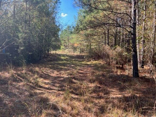 41.6-ac Chalker Road Opp, AL 36467 - Photo 3 of 17 Gallery Image 3