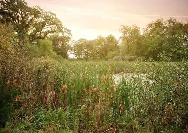 a view of a lake