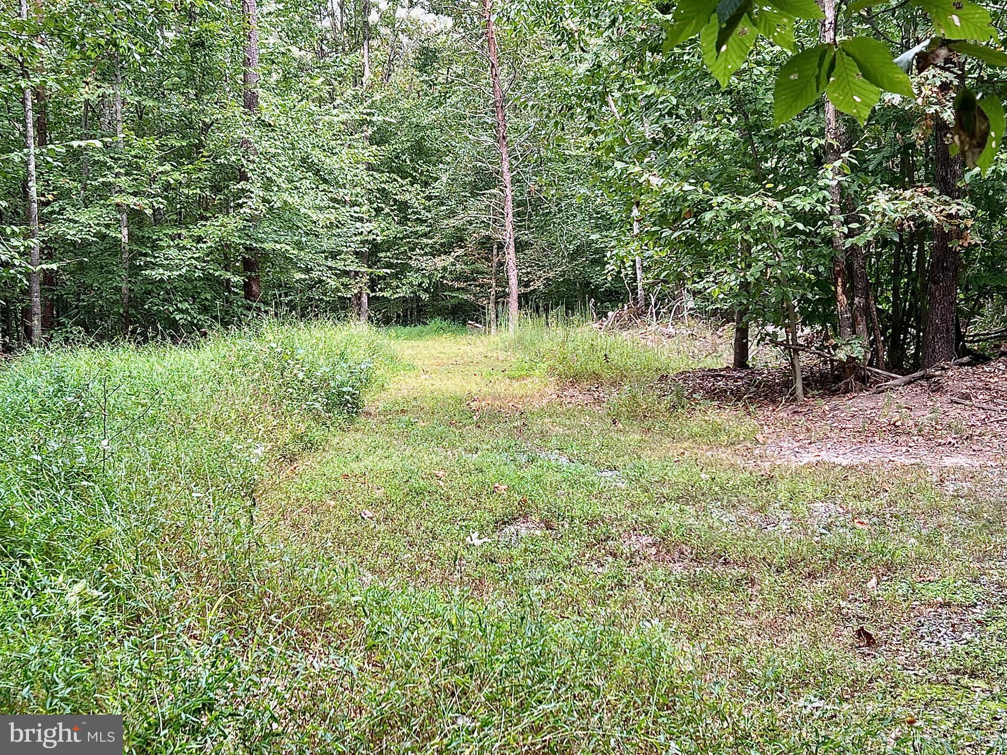 South Blue Ridge Turnpike Rochelle, VA 22738 - Photo 2 of 3 a view of a garden with a tree