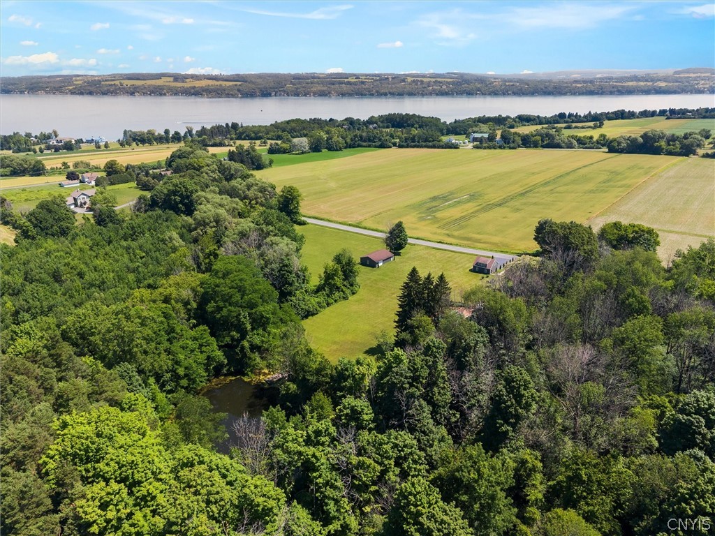 1631 Albring Road Skaneateles, NY 13152 - Photo 47 of 50