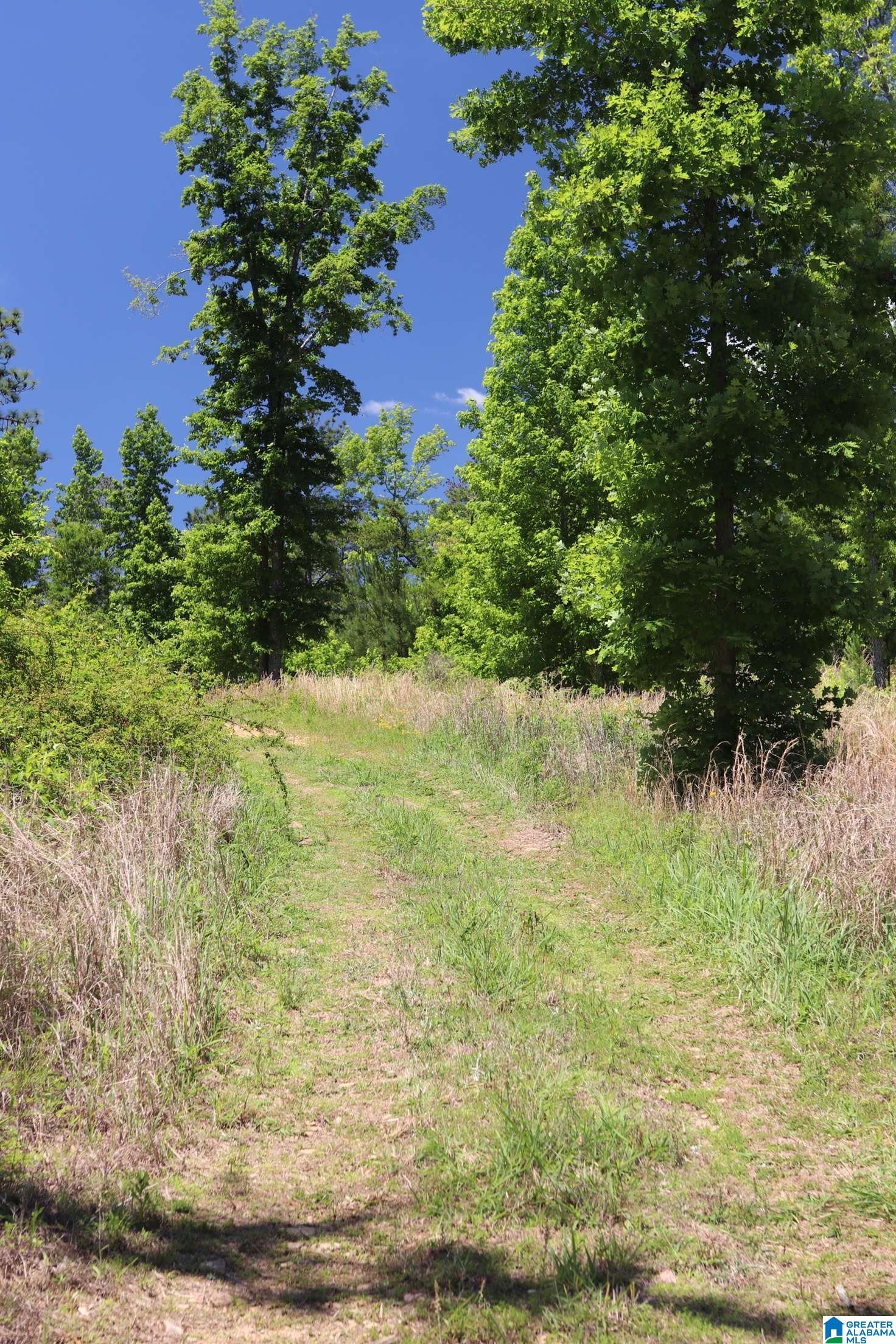 2930 Shocco Springs Road Talladega, AL 35160 - Photo 72 of 93