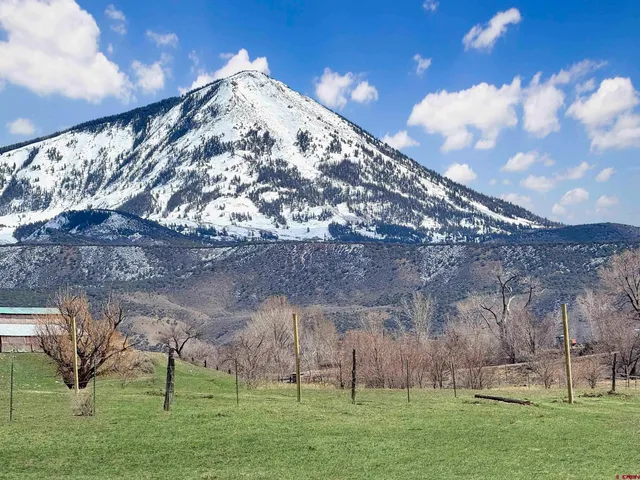 a view of a backyard with large trees