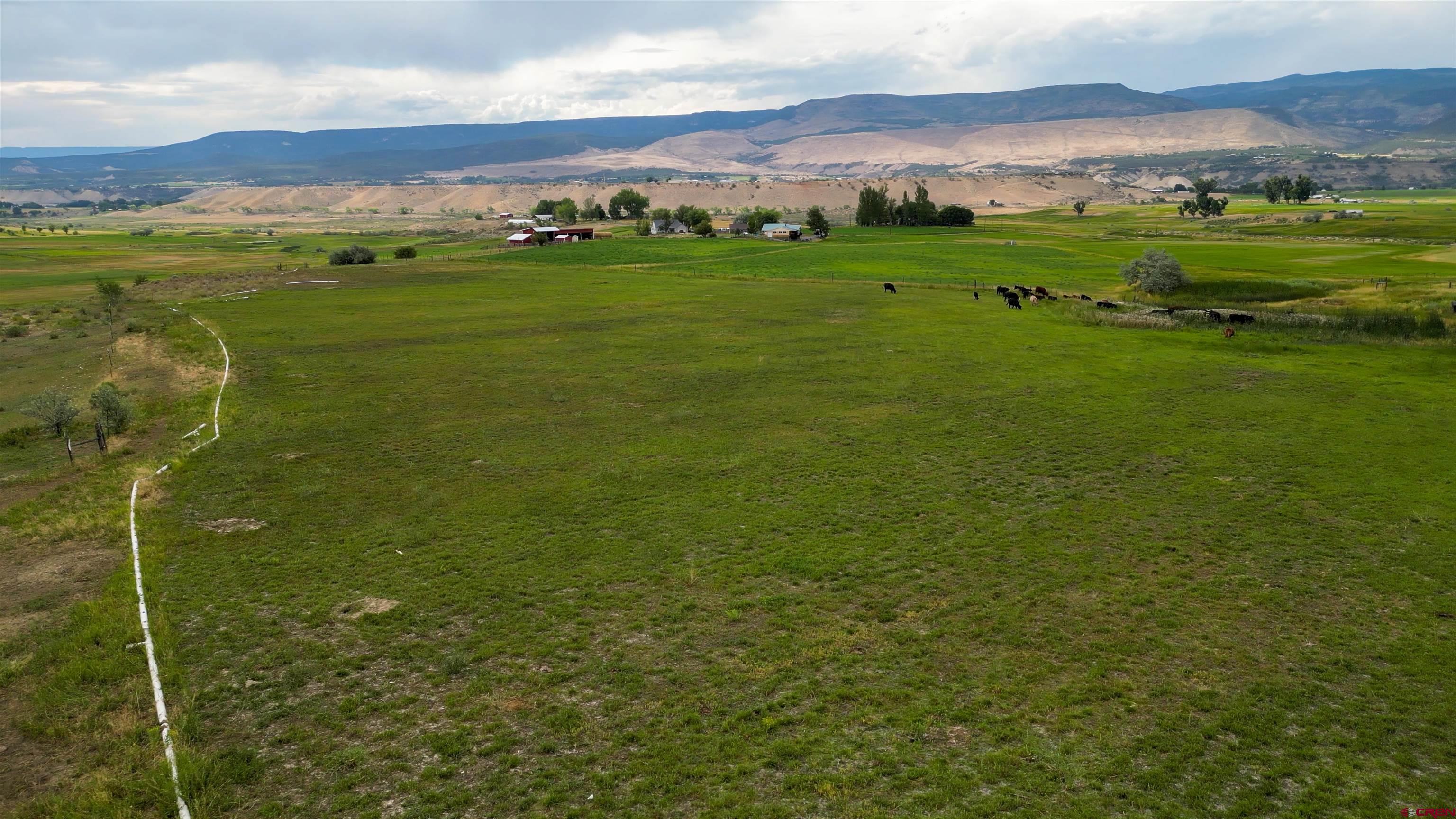 11545 Crawford Road Paonia, CO 81428 - Photo 15 of 45 a view of outdoor space and mountain view