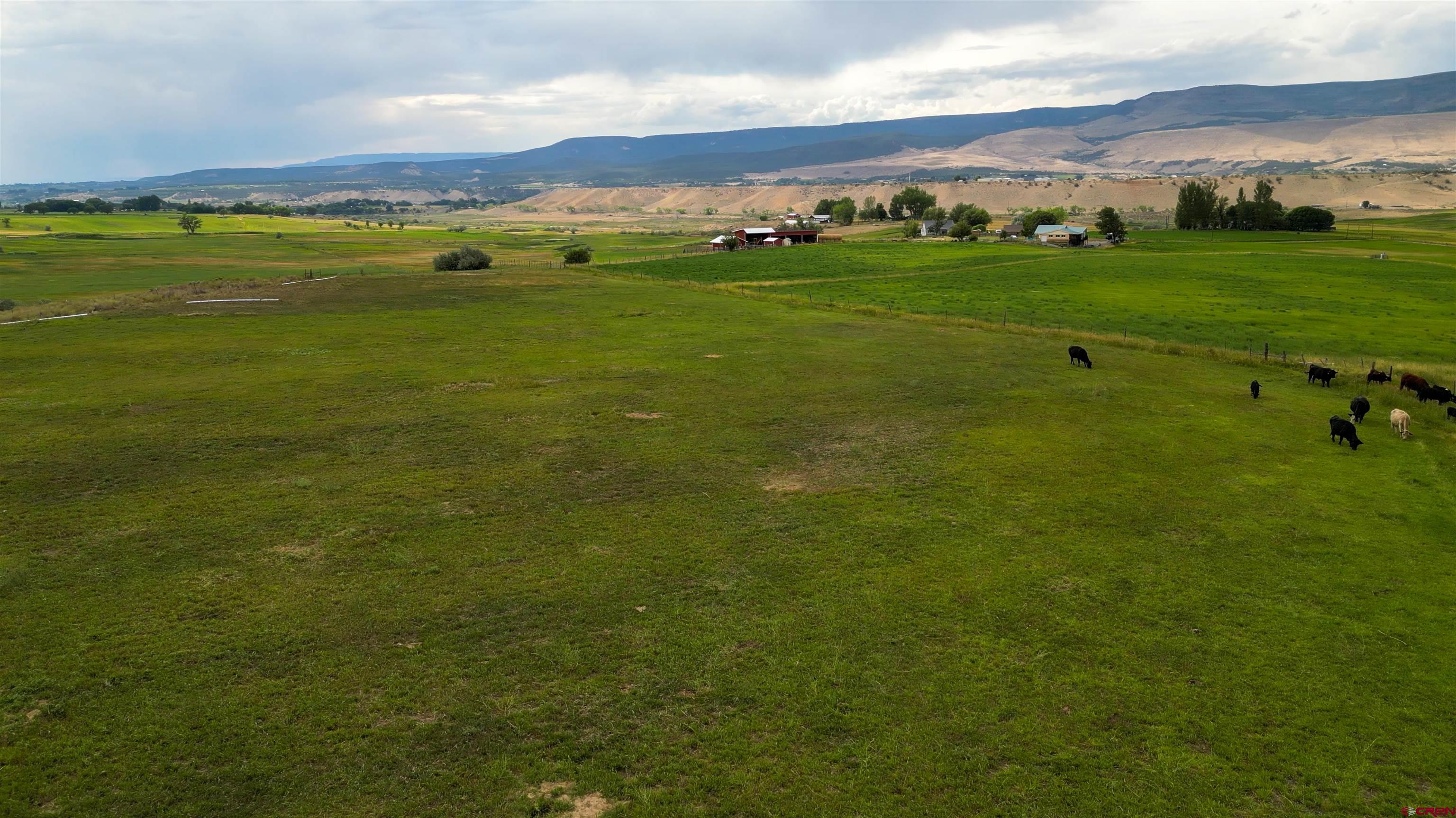 11545 Crawford Road Paonia, CO 81428 - Photo 16 of 45 a view of a field with an ocean