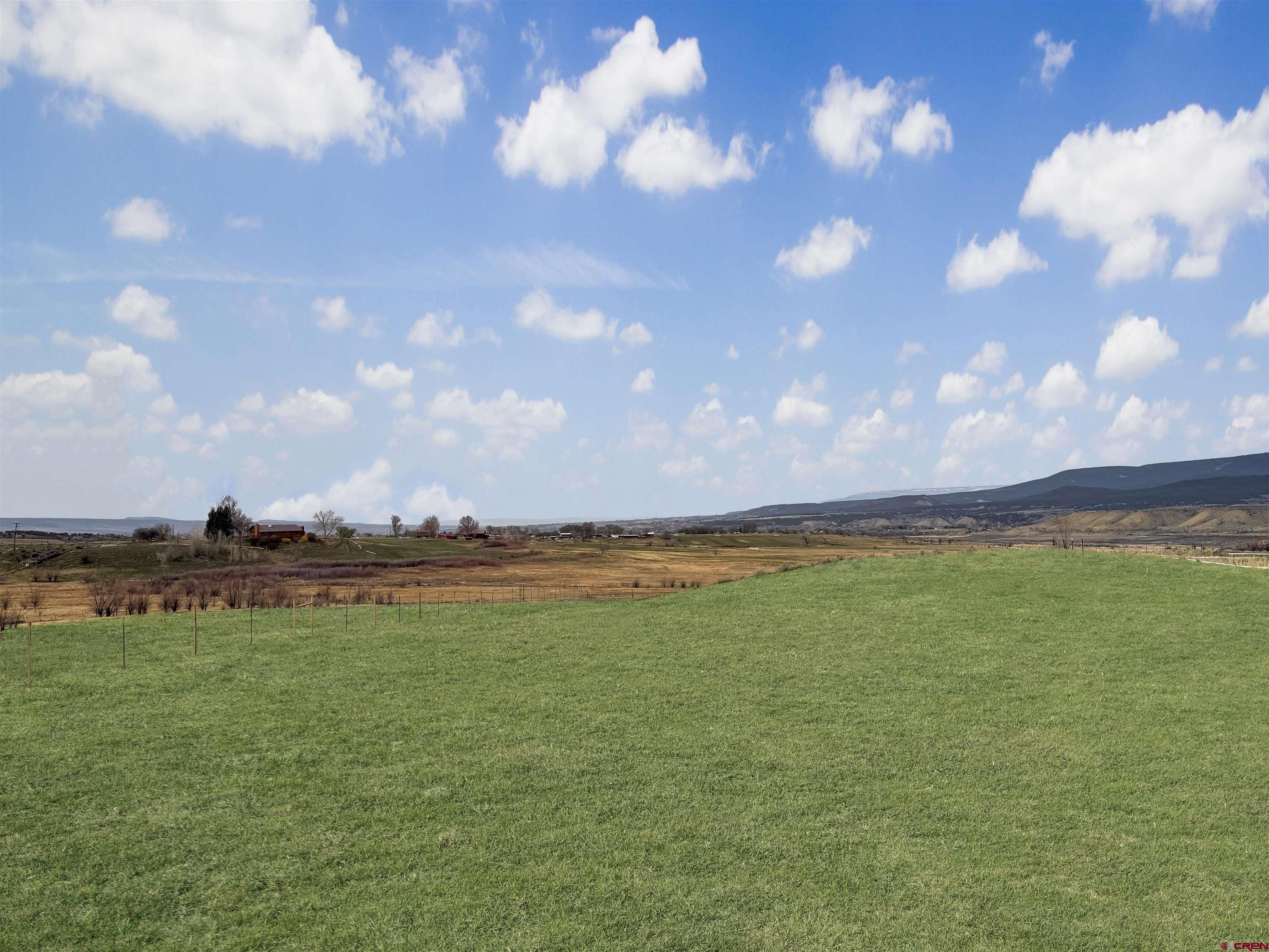 11545 Crawford Road Paonia, CO 81428 - Photo 20 of 45 a view of a big yard with lots of green space