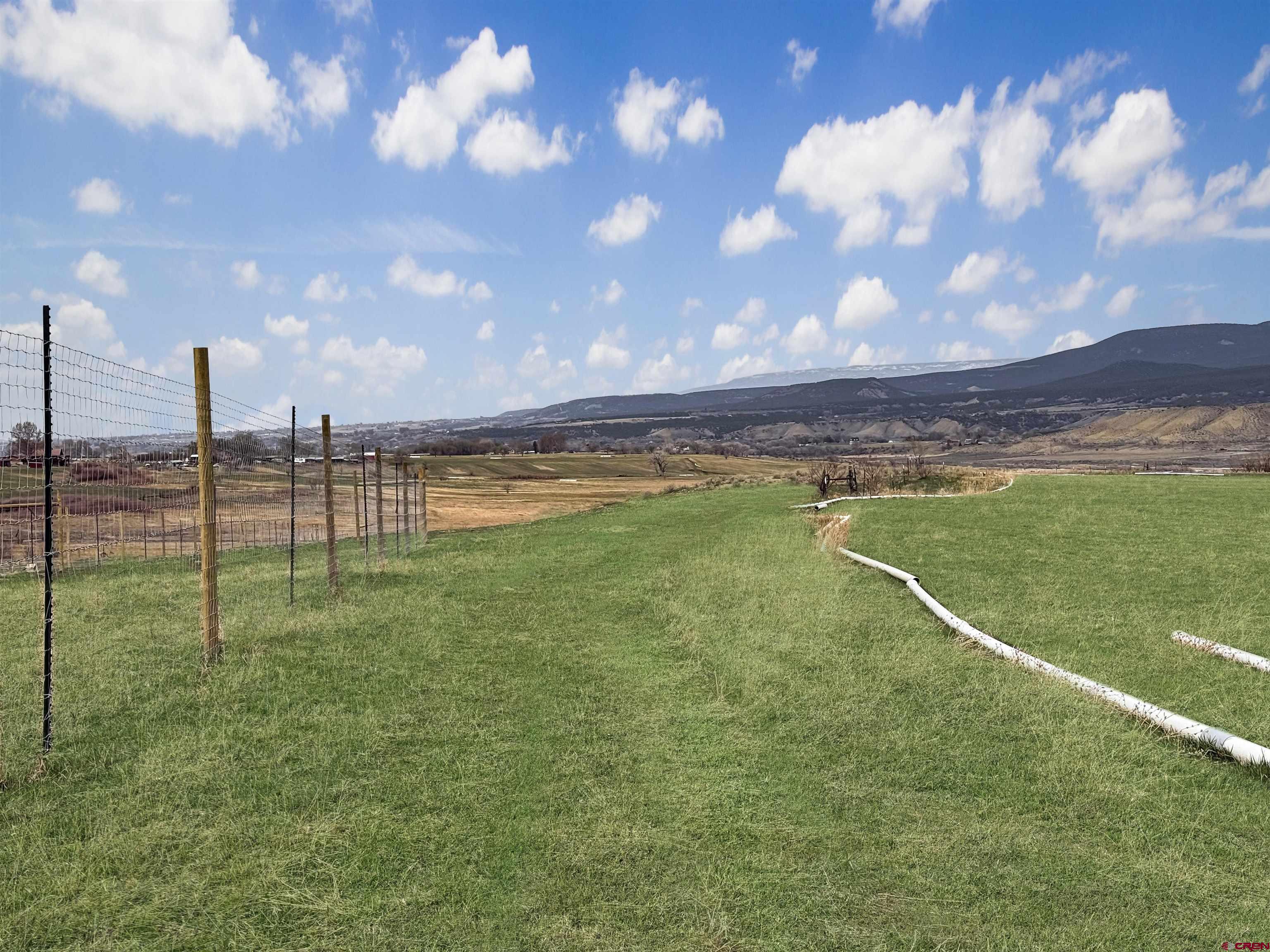11545 Crawford Road Paonia, CO 81428 - Photo 3 of 45 a view of a big yard
