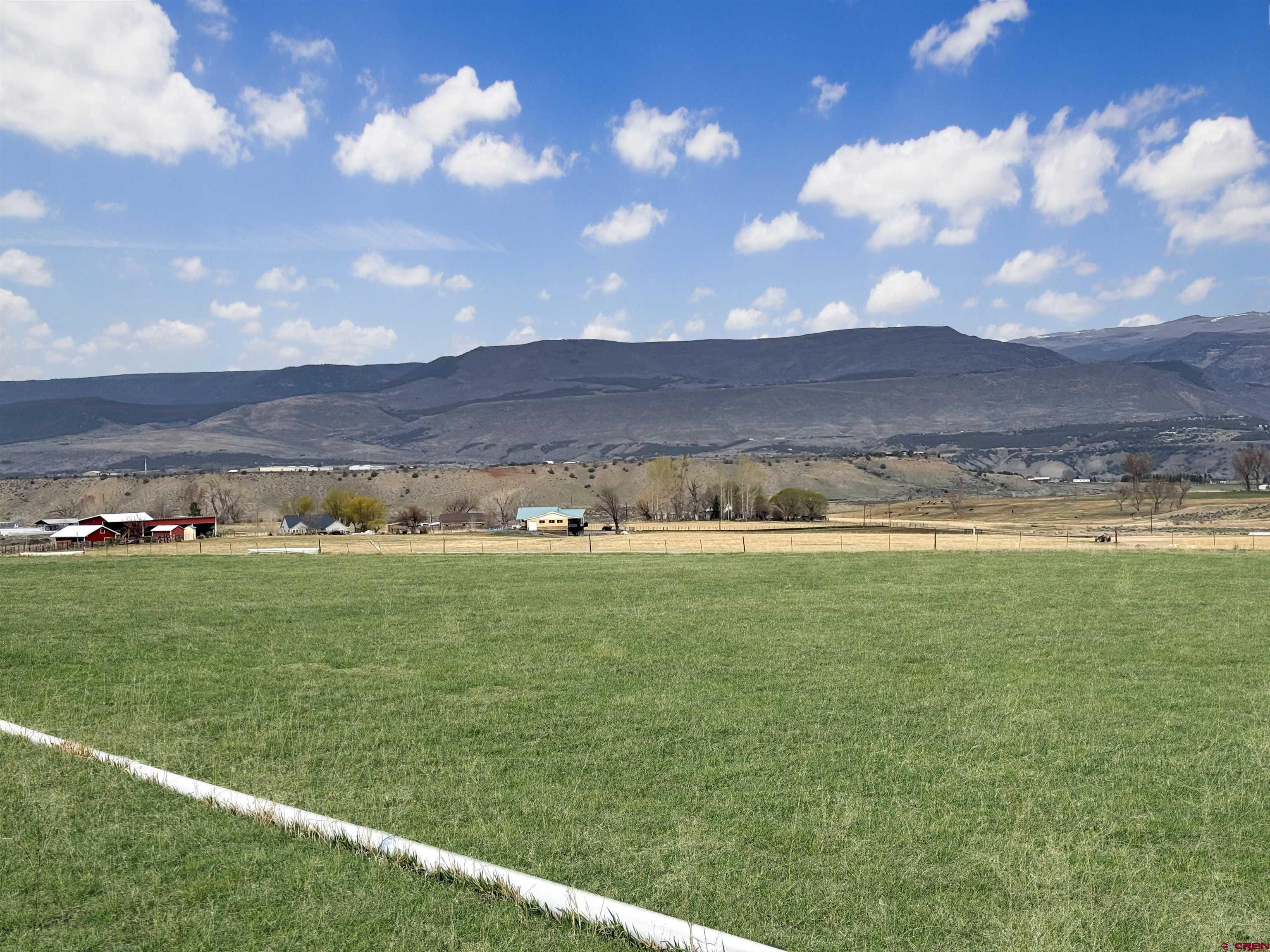 11545 Crawford Road Paonia, CO 81428 - Photo 4 of 45 a view of a big yard with lots of green space