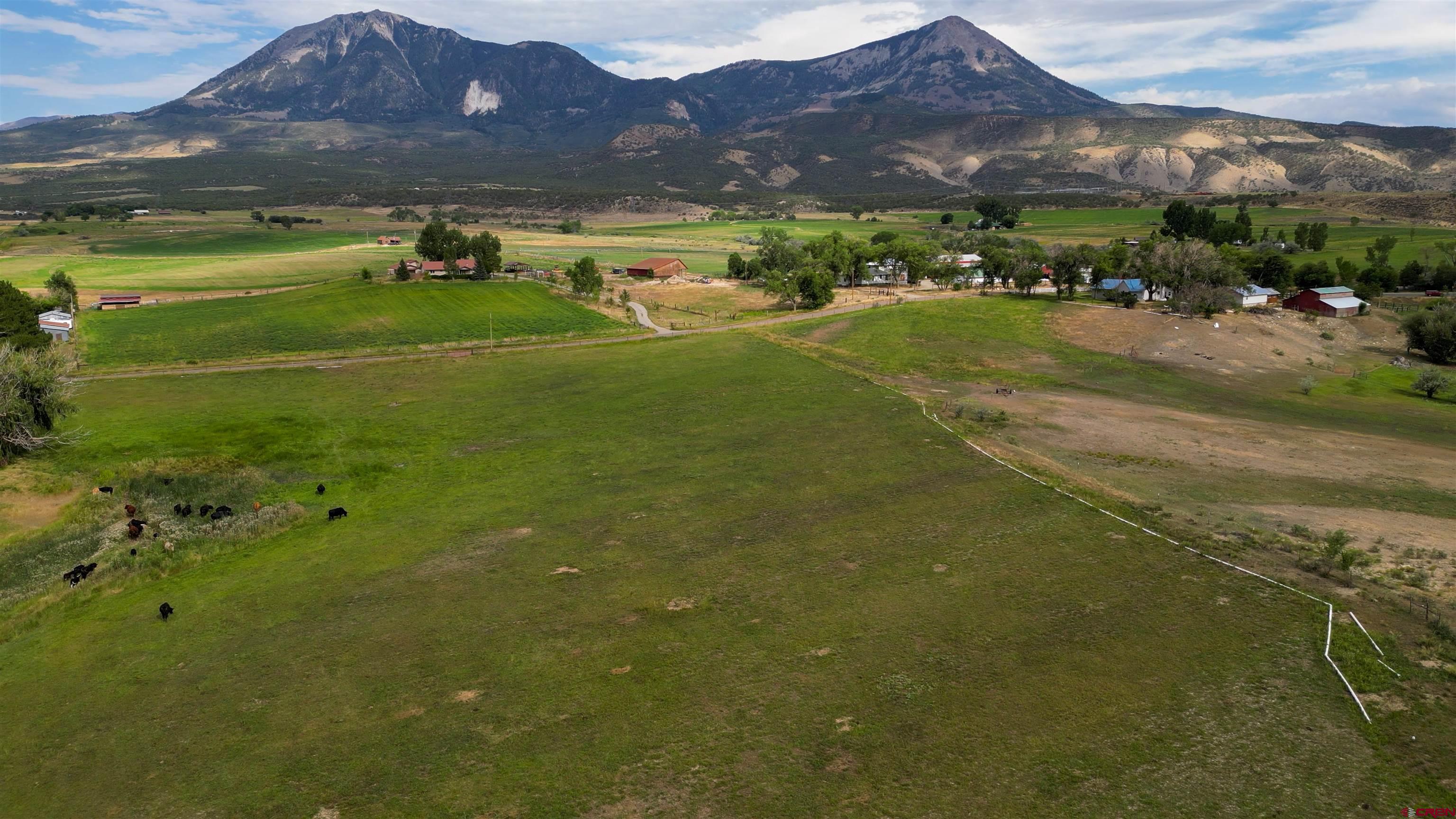 11545 Crawford Road Paonia, CO 81428 - Photo 41 of 45 a view of an outdoor space and a yard