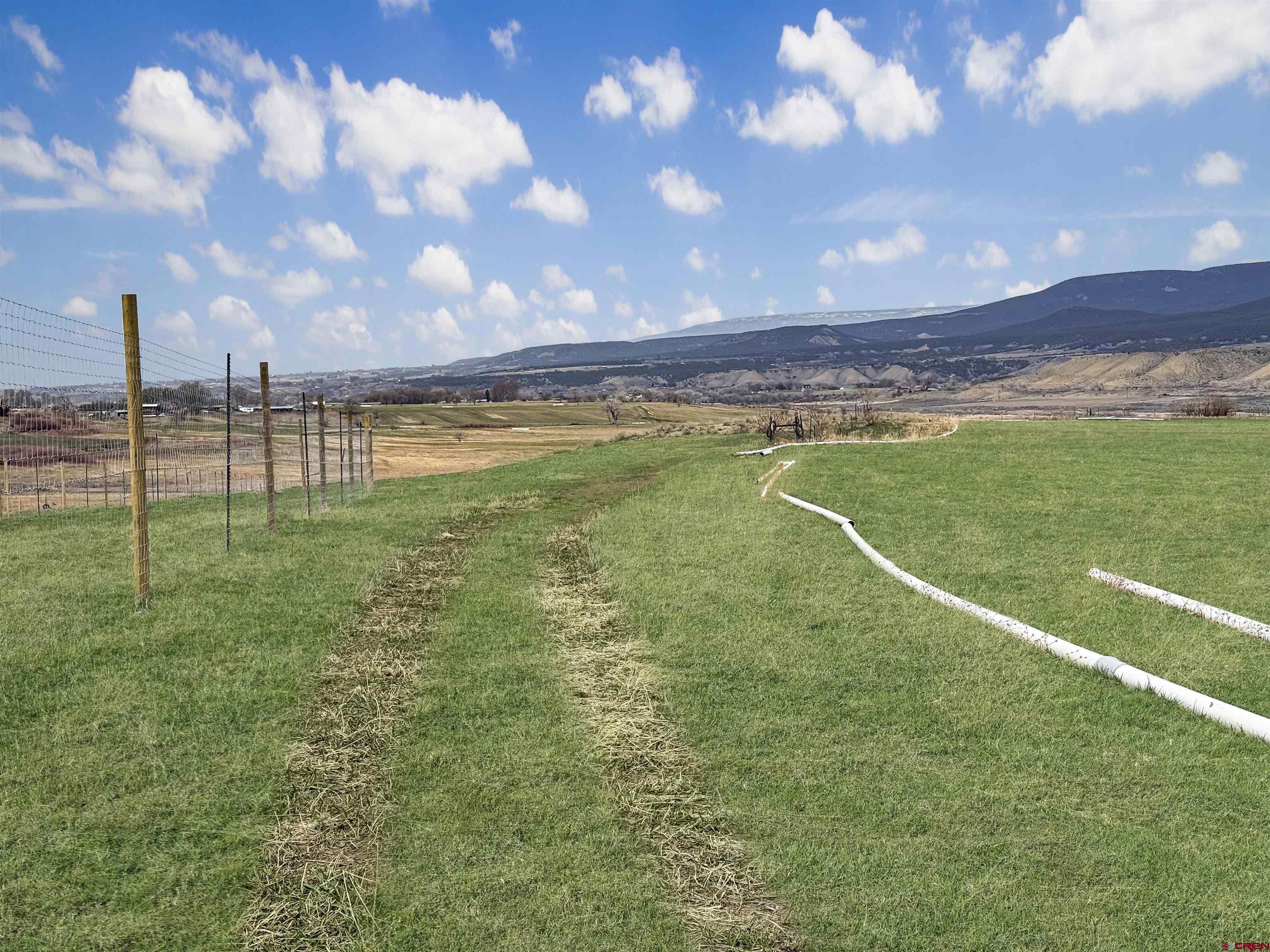 11545 Crawford Road Paonia, CO 81428 - Photo 6 of 45 a view of a big yard with a swimming pool