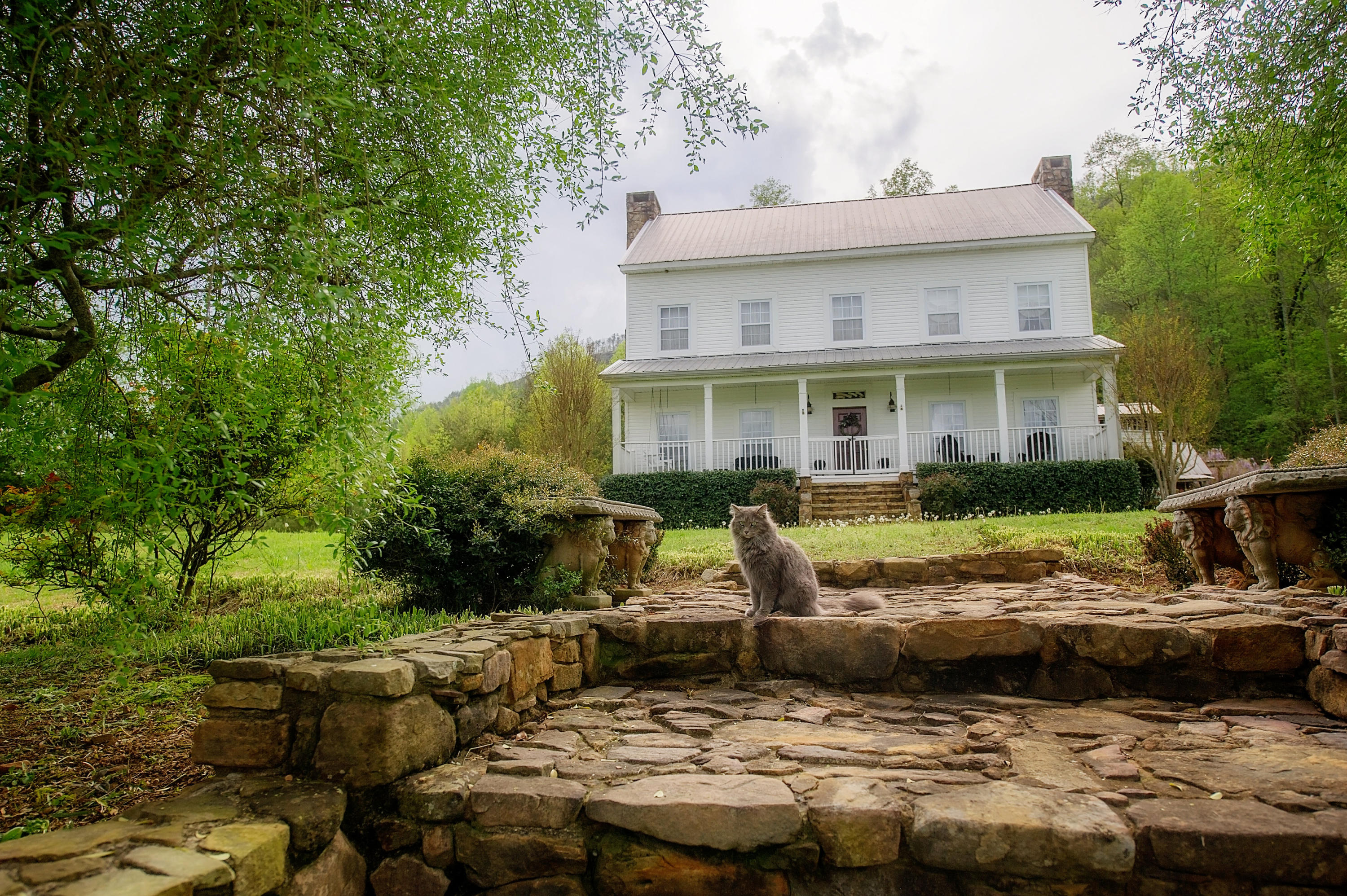 1155 Incline Road Whitwell, TN 37397 - Photo 20 of 48 FST_0185