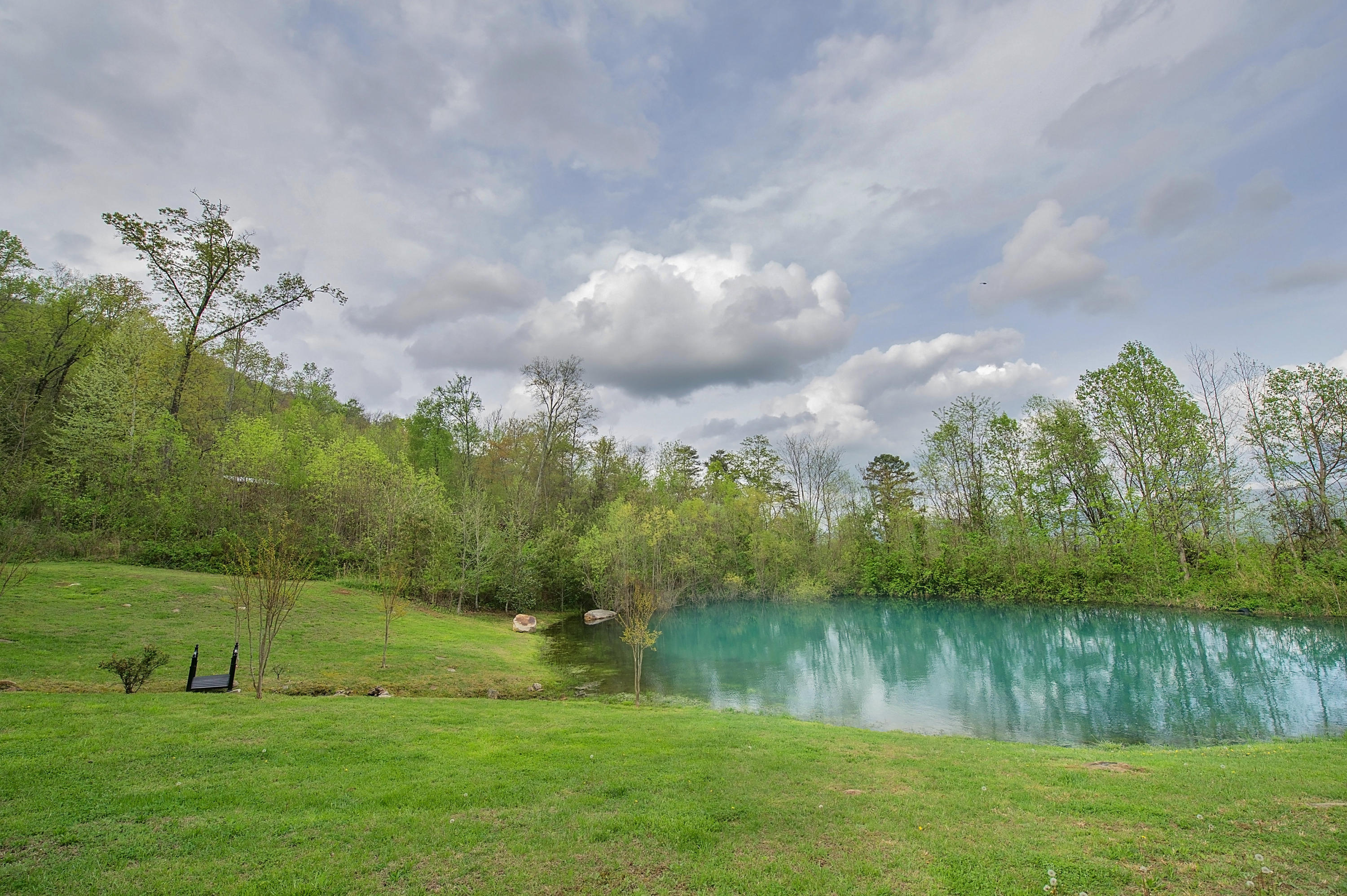 1155 Incline Road Whitwell, TN 37397 - Photo 8 of 48 FST_0149