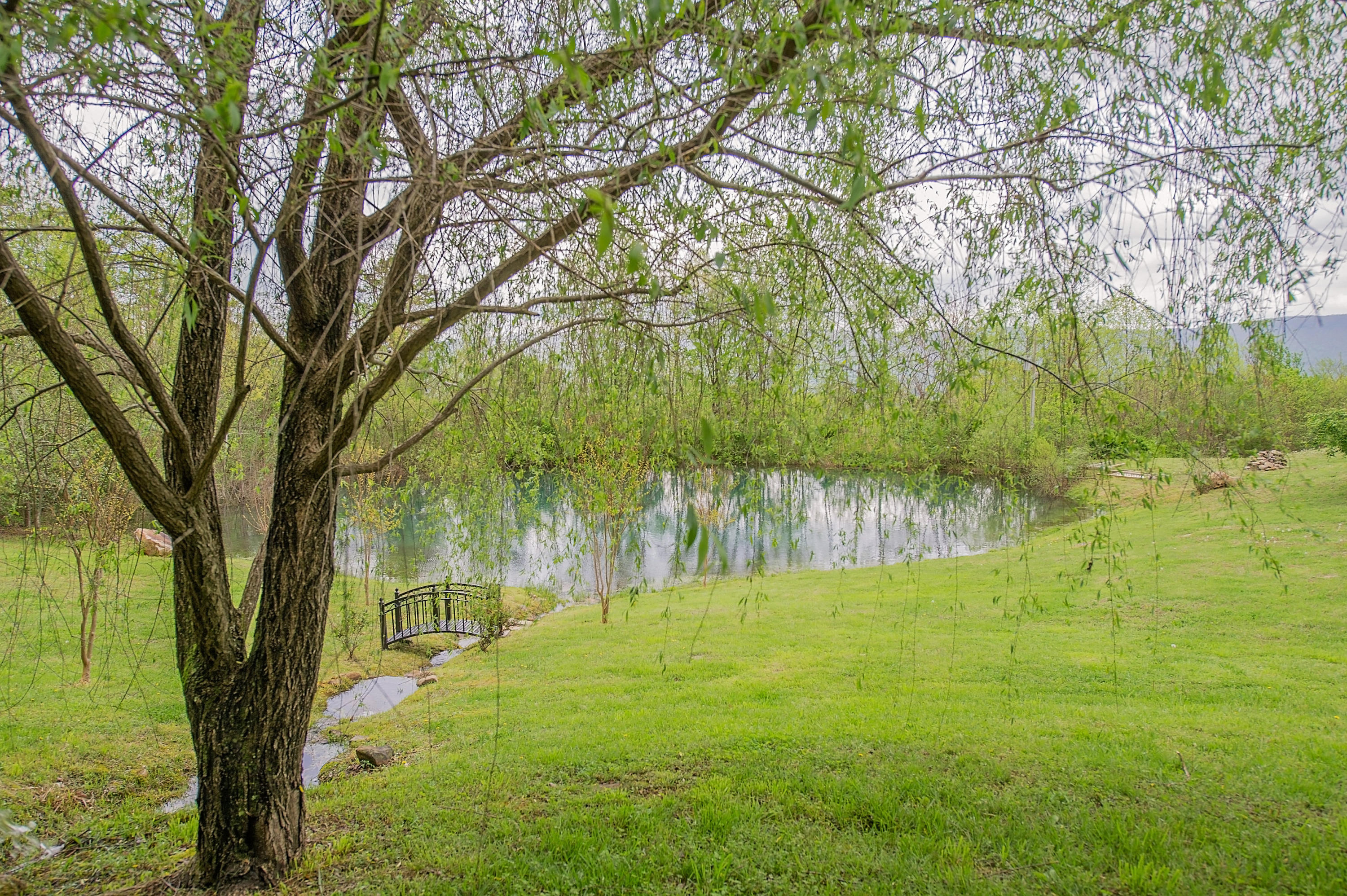 1155 Incline Road Whitwell, TN 37397 - Photo 10 of 48 FST_0153