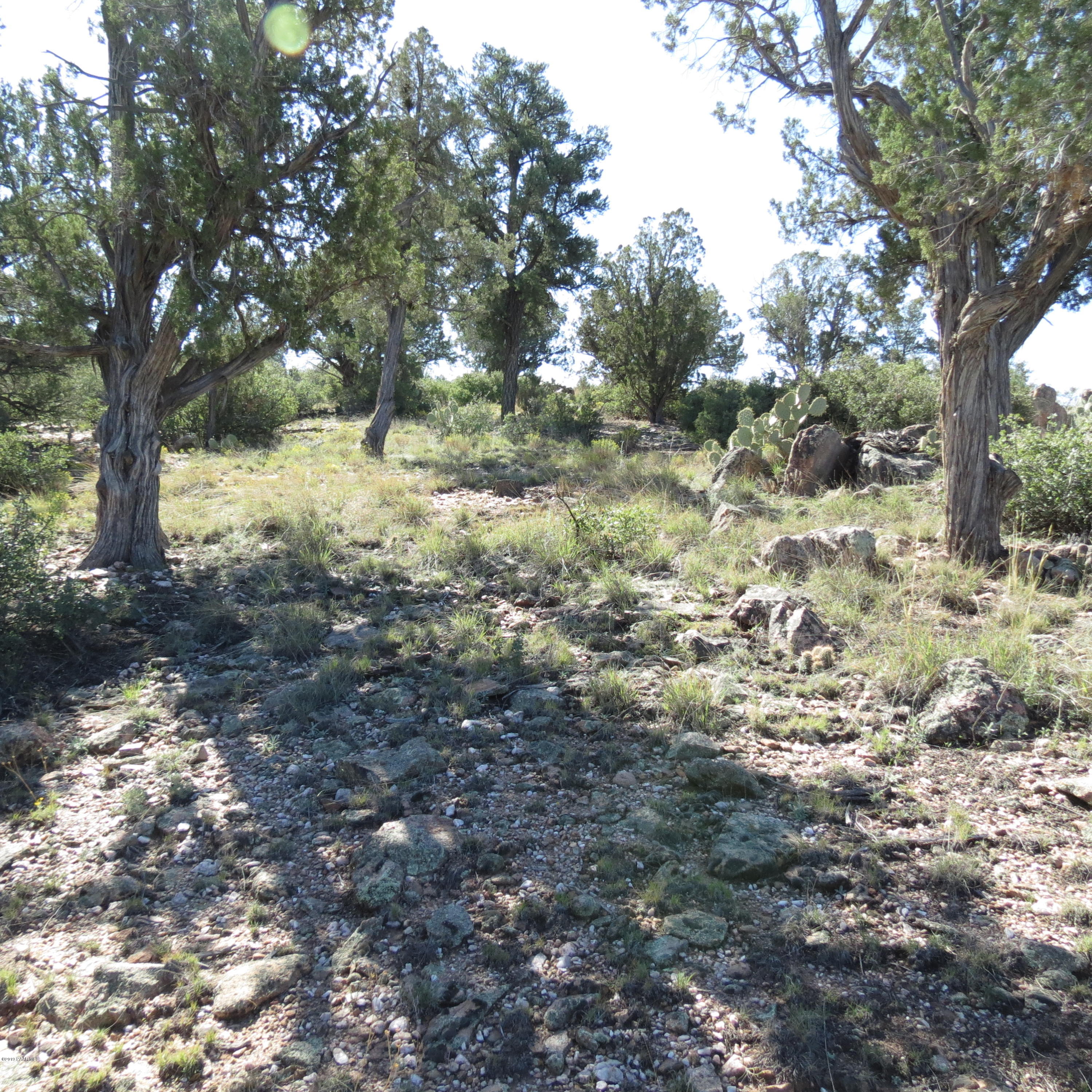 15395 North Talking Rock Ranch Road Prescott, AZ 86305 - Photo 8 of 13 a view of mountain view with lots of trees