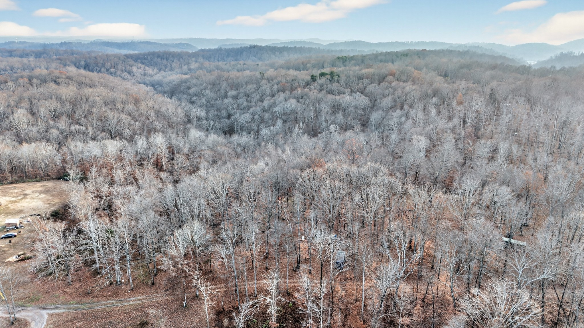 a view of a dry yard with green space