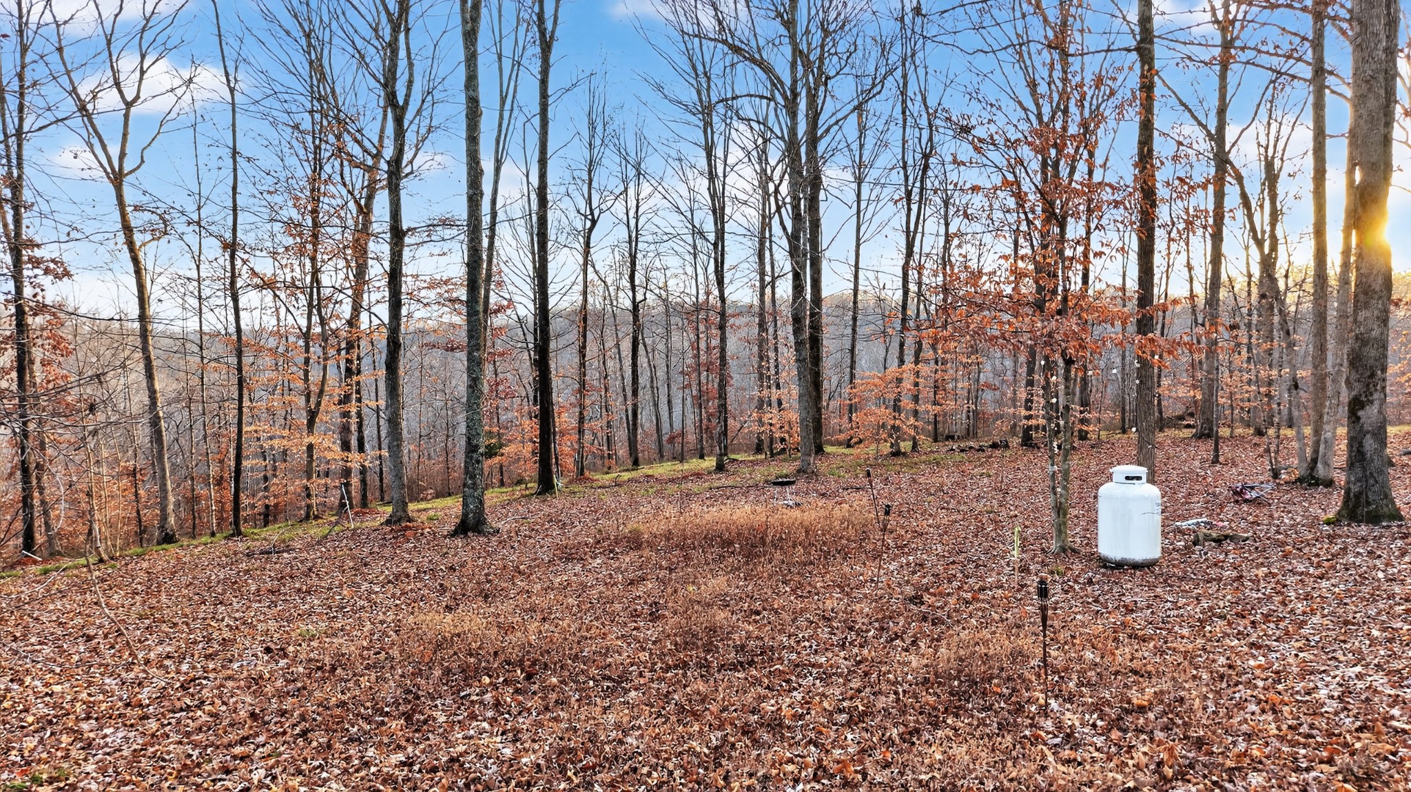 100 Waynoe Road Ashland City, TN 37015 - Photo 11 of 12 a view of outdoor space with a patio