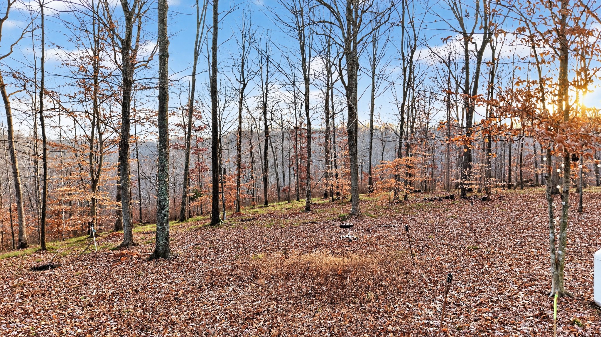 100 Waynoe Road Ashland City, TN 37015 - Photo 12 of 12 a backyard of a house with lots of green space