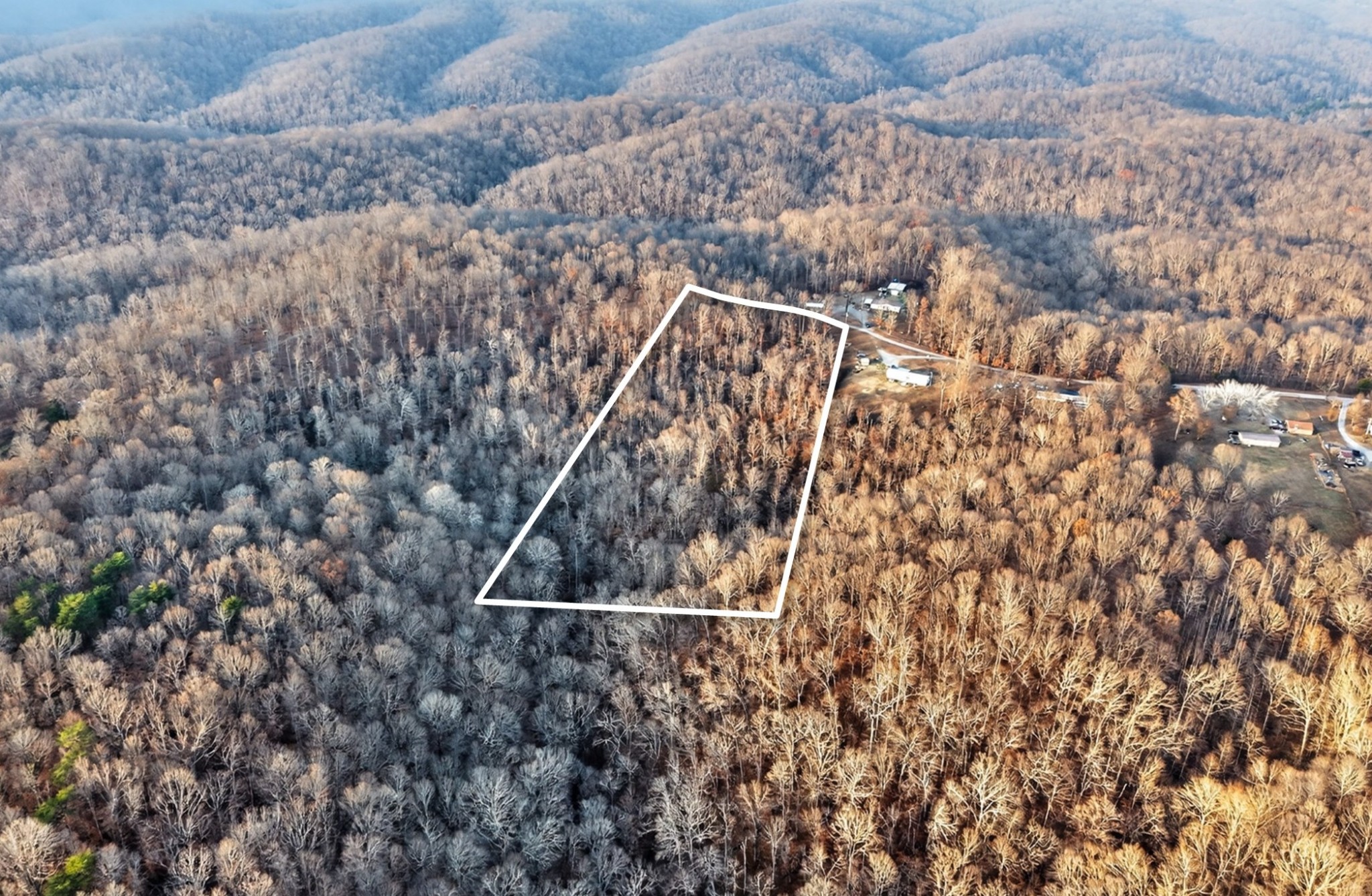 100 Waynoe Road Ashland City, TN 37015 - Photo 3 of 12 a view of wooden wall