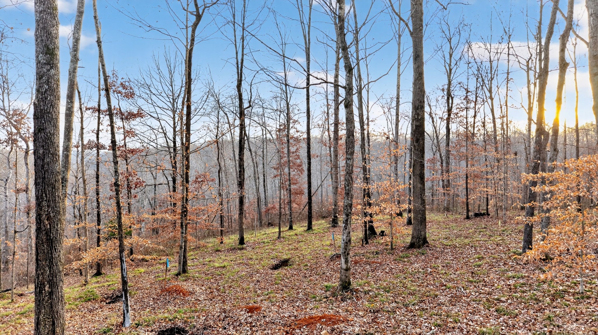 100 Waynoe Road Ashland City, TN 37015 - Photo 4 of 12