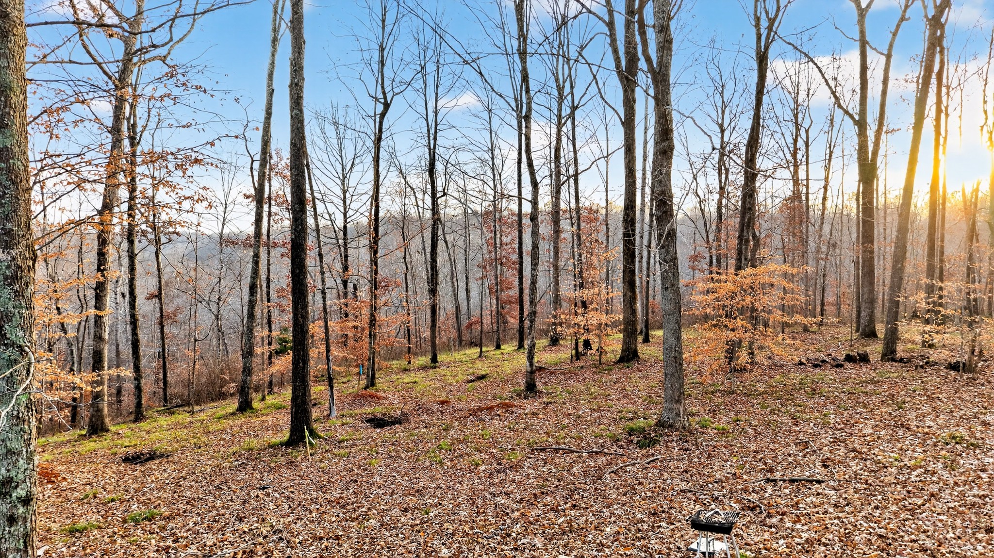 100 Waynoe Road Ashland City, TN 37015 - Photo 5 of 12 a view of outdoor space with chairs