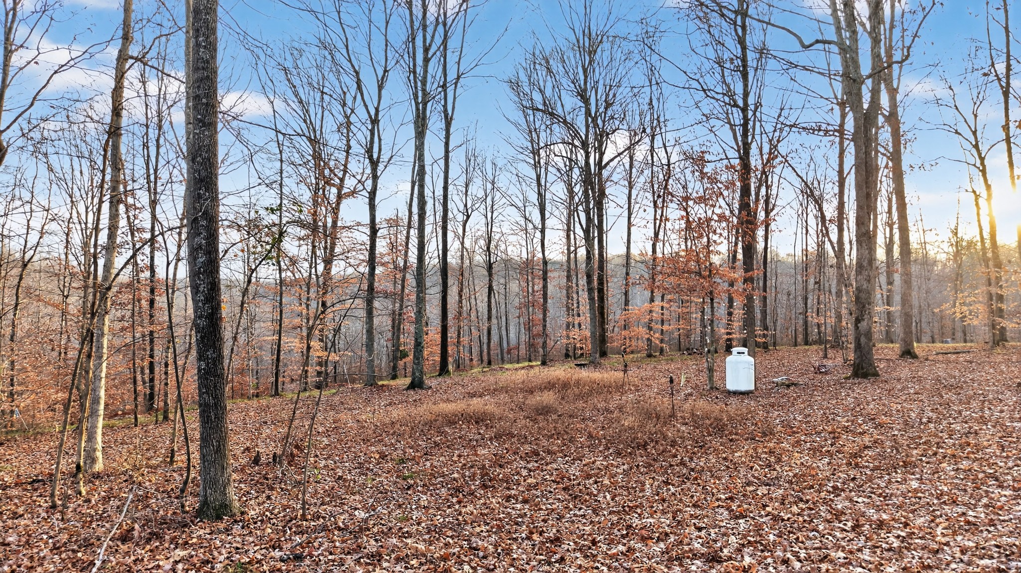 100 Waynoe Road Ashland City, TN 37015 - Photo 6 of 12 a backyard of a house with lots of green space