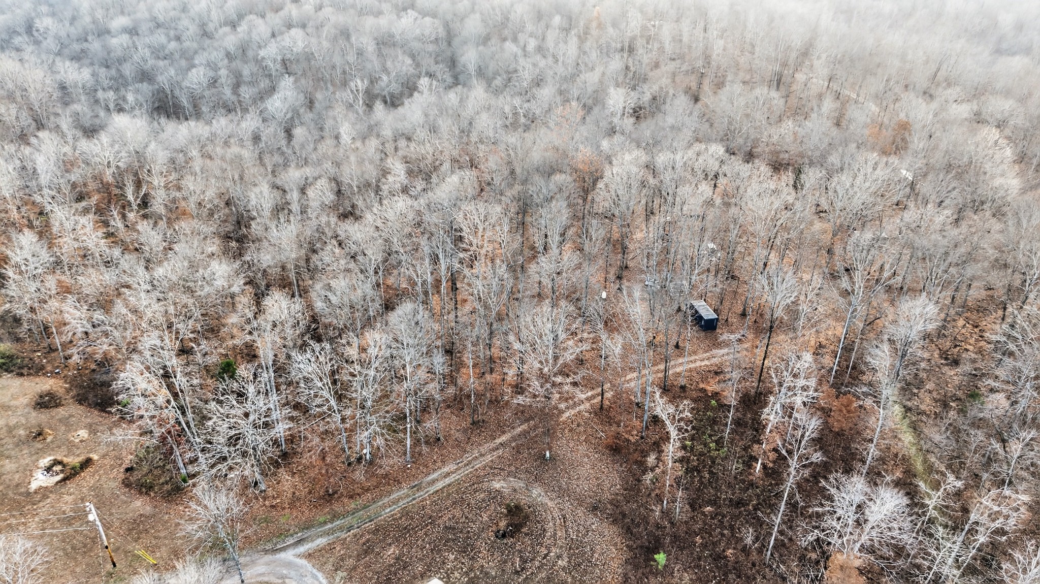 100 Waynoe Road Ashland City, TN 37015 - Photo 7 of 12