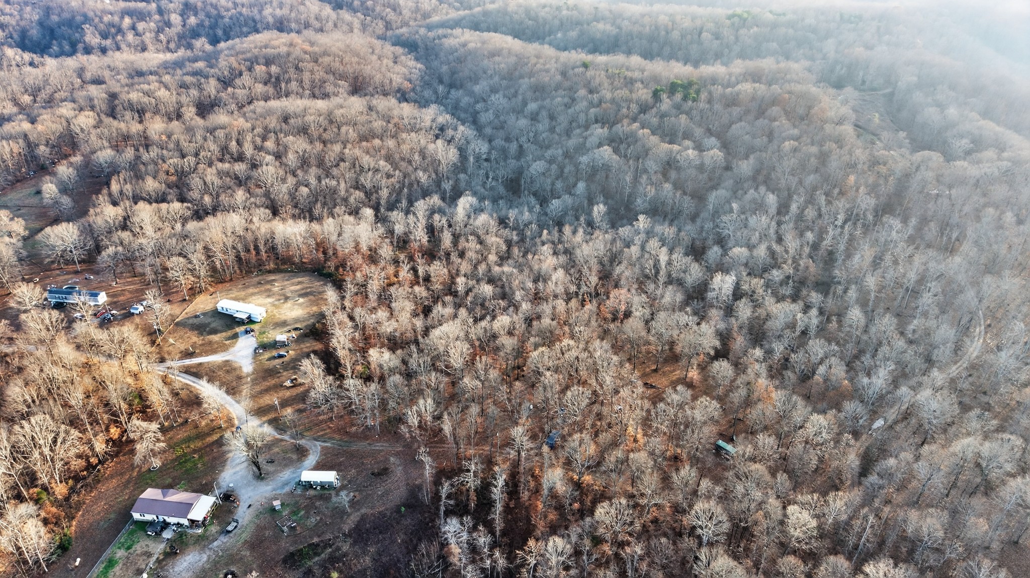 100 Waynoe Road Ashland City, TN 37015 - Photo 8 of 12 a close up of a tree