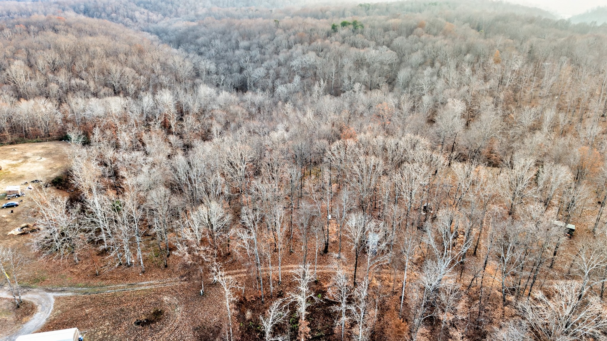 100 Waynoe Road Ashland City, TN 37015 - Photo 10 of 12