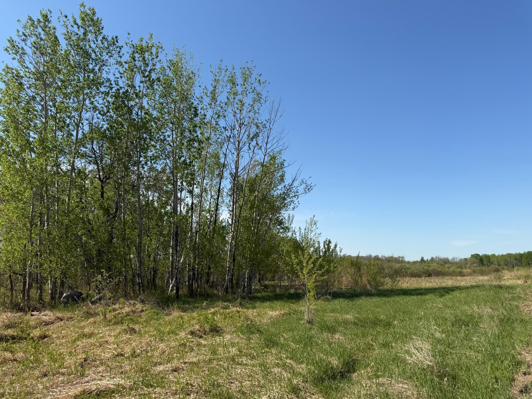 14 Sebeka Mn 56477 Sebeka, MN 56477 - Photo 38 of 79