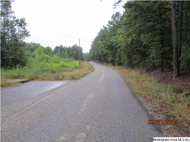 0 Lock 4 Road, Unit 3 PARCEL Lincoln, AL 35096 - Photo 10 of 10