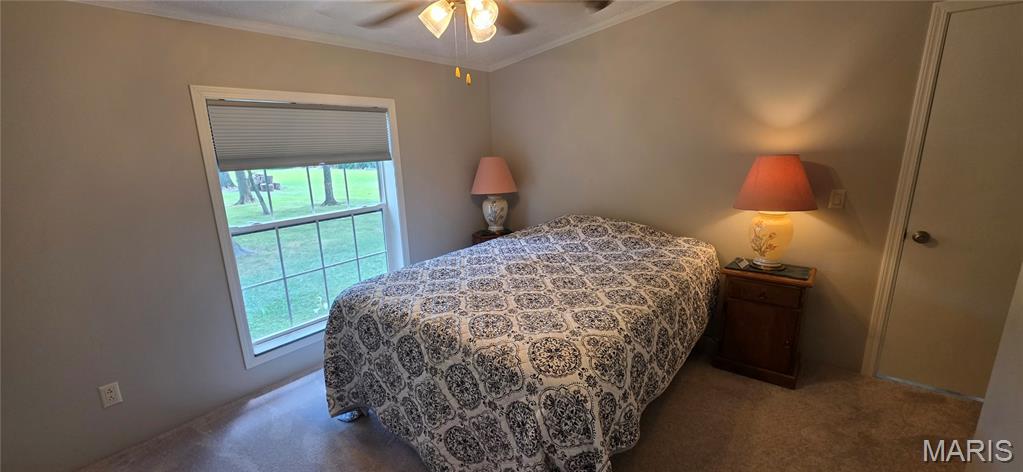 18371 Perry Road Pittsburg, IL 62974 - Photo 47 of 61