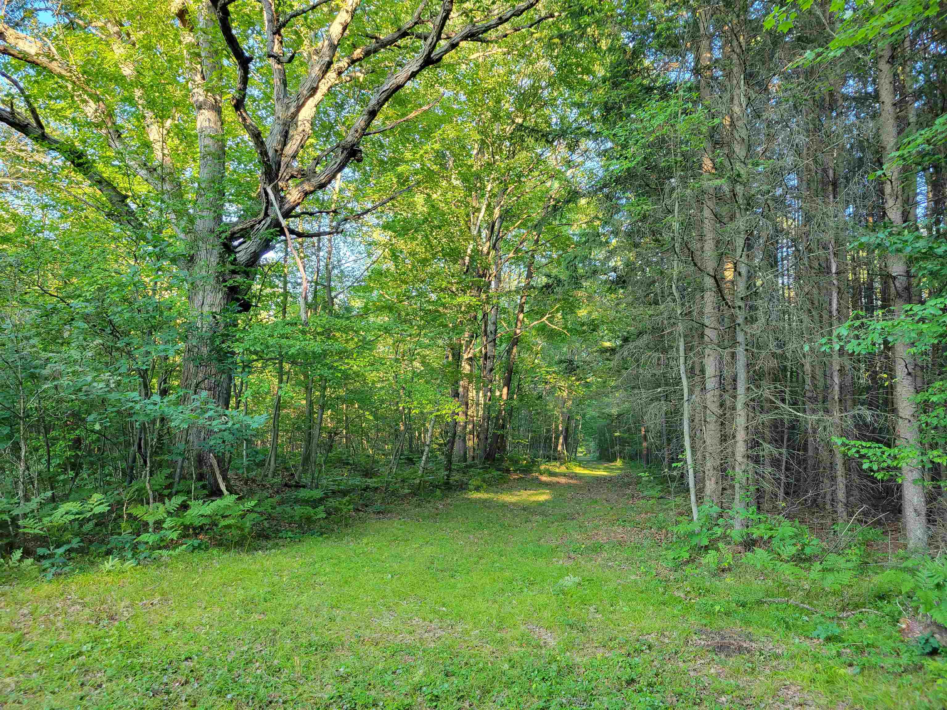 812 North Coleman Road Shepherd, MI 48883 - Photo 8 of 16