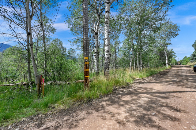 5426 East Colter Road, Unit 33 Kamas, UT 84036 - Photo 13 of 45 Rural dirt road surrounded by dense foliage and mature trees