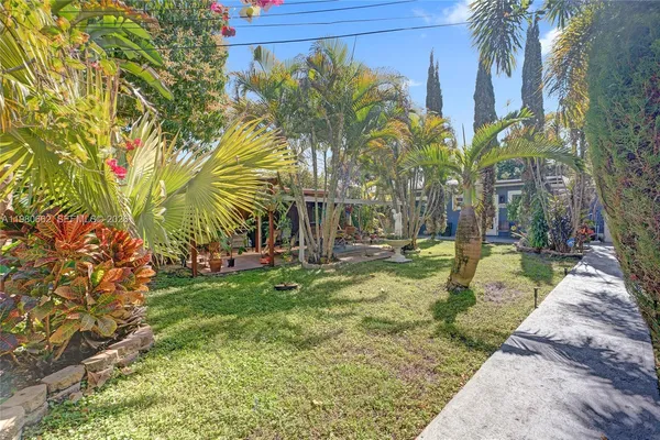 a view of a yard with plants