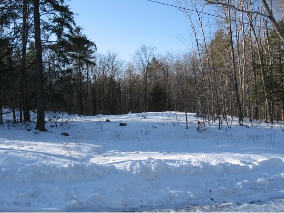 45.5 Browns Mill Road Deerfield, NH 03037 - Photo 1 of 1