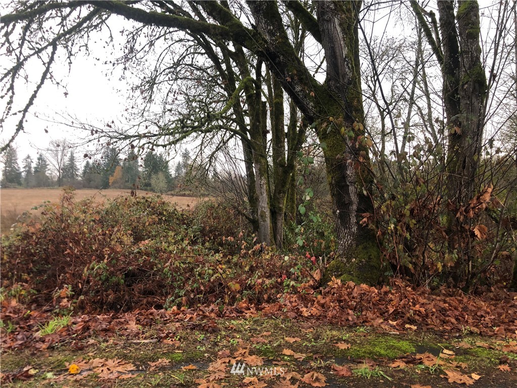 26906 Northeast 45th Avenue Ridgefield, WA 98642 - Photo 4 of 9