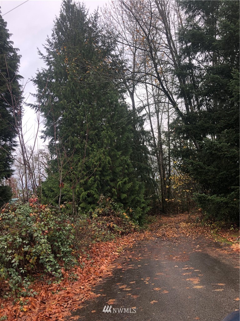 26906 Northeast 45th Avenue Ridgefield, WA 98642 - Photo 5 of 9