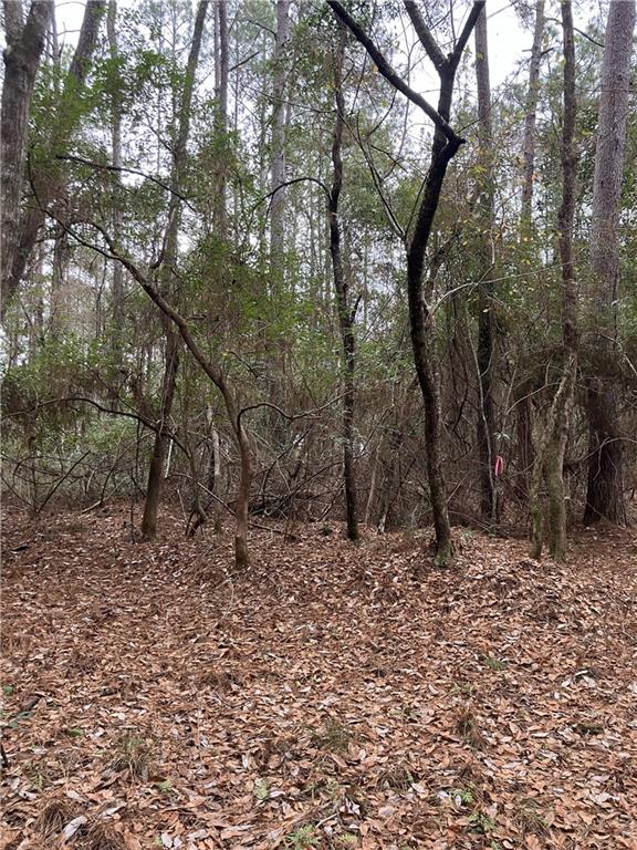 0 Beta Avenue Covington, LA 70435 - Photo 11 of 13