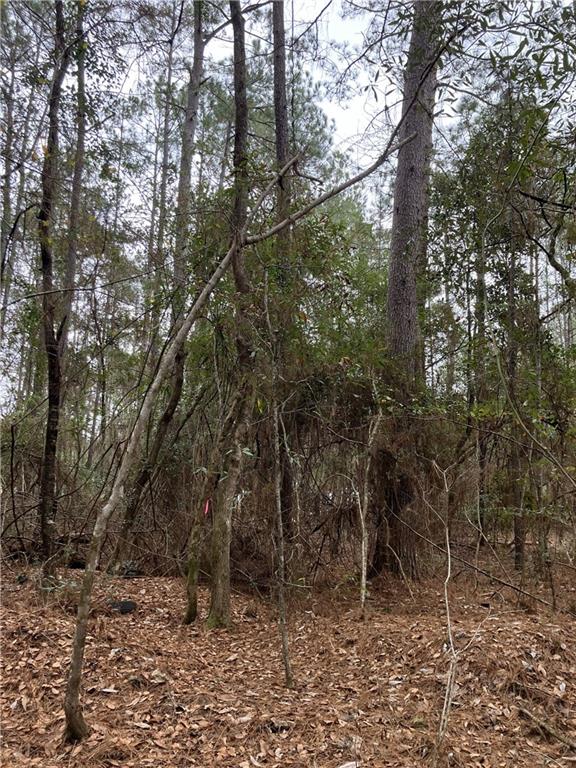 0 Beta Avenue Covington, LA 70435 - Photo 12 of 13