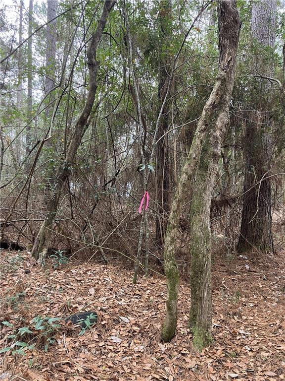 0 Beta Avenue Covington, LA 70435 - Photo 7 of 13