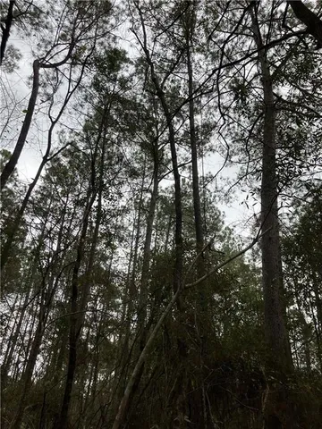 $25,000 | 0 Beta Avenue, Covington, LA 70435