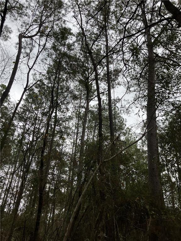 0 Beta Avenue Covington, LA 70435 - Photo 8 of 13