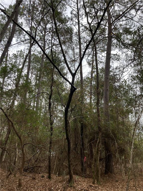 0 Beta Avenue Covington, LA 70435 - Photo 9 of 13