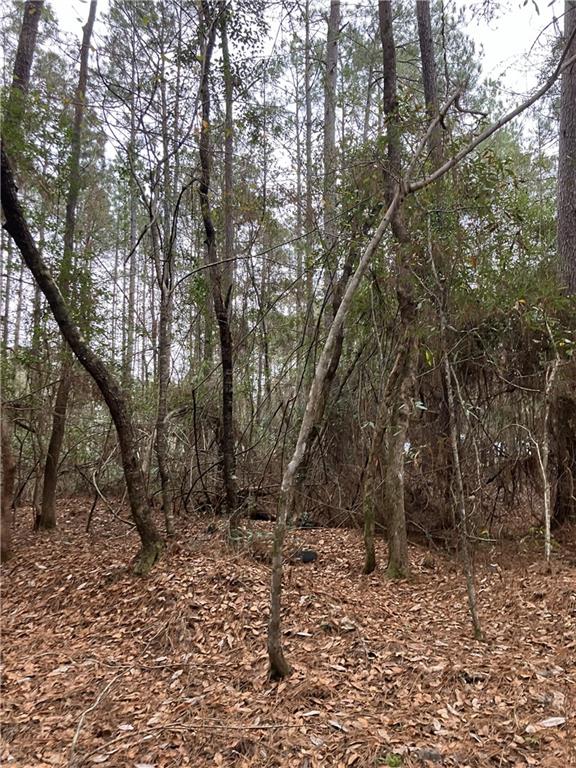 0 Beta Avenue Covington, LA 70435 - Photo 10 of 13