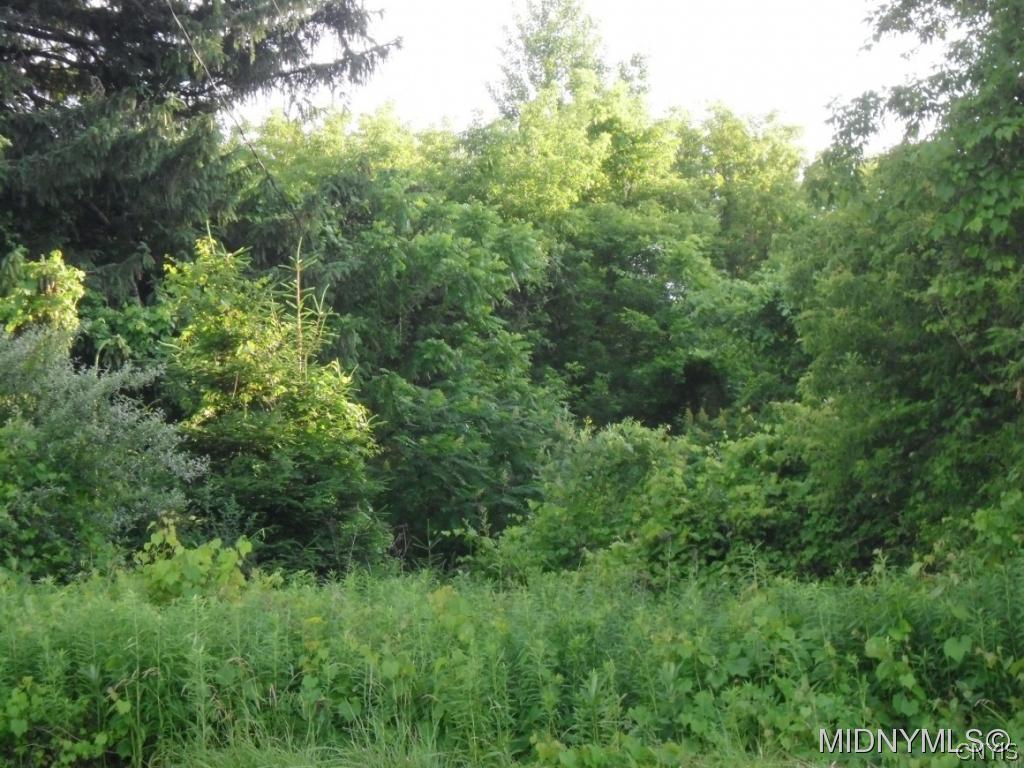 4290 Acme Road Frankfort, NY 13340 - Photo 3 of 9 Gallery Image 3