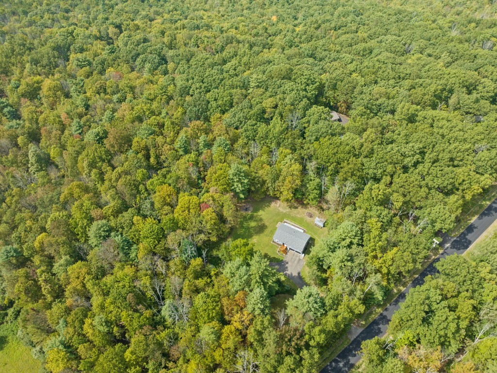 1695 Cafferty Hill Road Endicott, NY 13760 - Photo 10 of 36